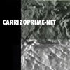 carrizoprime-net logo